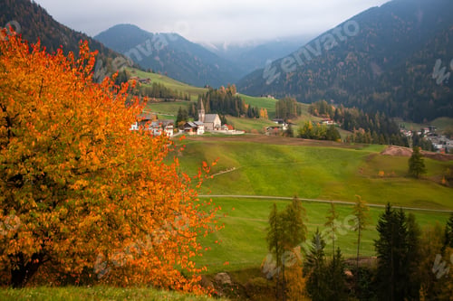 Preview: Santa Maddalena church, Dolomites mountains in magic autumn colors