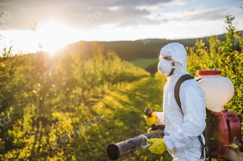Preview: A farmer outdoors in orchard at sunset, using pesticide chemicals