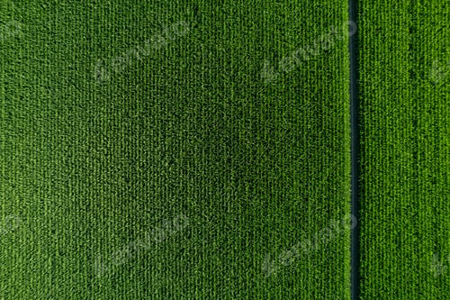 Preview: aerial photo shot of mixed cultivated and harvested rural plain land