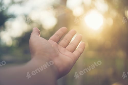 Preview: abstract picture of nature hand with sunlight