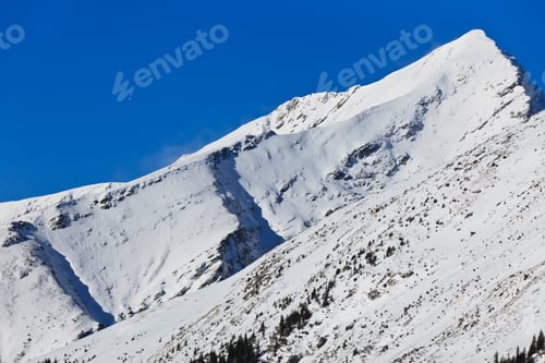Preview: winter mountain landscape