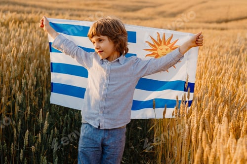 Preview: Boy Holding Flag in Field of Wheat