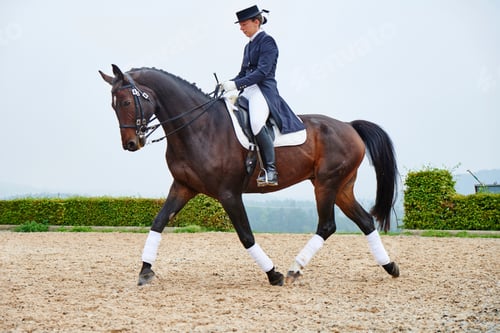 Preview: Female rider trotting while training dressage horse in equestrian arena