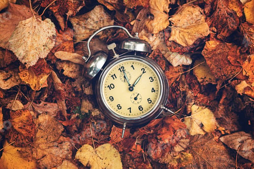 Preview: Daylight saving time concept, old analog alarm clock set to two o'clock on a pile of autumn leaves