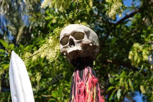 Vista previa: A skull nailed to a pike, Polynesian tribal rite.