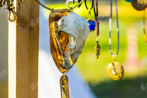 Preview: Necklace with skull of the animal. Ethnic amulet for protection. Occult symbol for magical rituals.