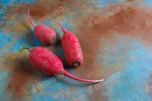 Preview: Various fresh radishes,white radish,long pink radish and black radish.