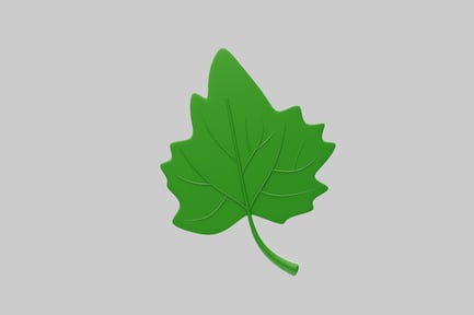 Preview: Green leaf infographic element