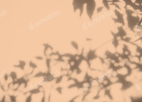 Preview: Blur Orange Wall with shadow Leaves Autumn Background