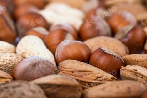 Preview: close up view of mixed nuts in shell walnuts hazelnuts and almond
