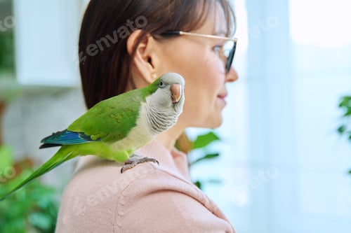 Preview: Close-up of green parrot on the shoulder of a female owner