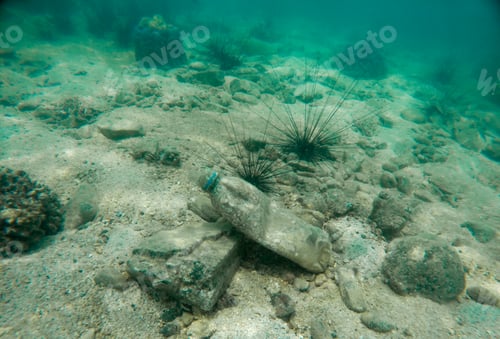 Preview: Garbage plastic bottles and glasses are pollution environment problem with animal wide life under th