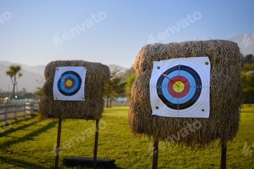Preview: Archery target with arrow in evening light