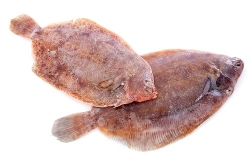 Preview: lemon soles