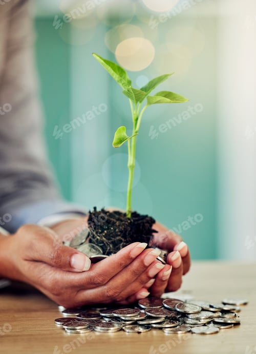 Preview: Hands of a woman and her savings, money growing and planning for the future closeup. Lady investing