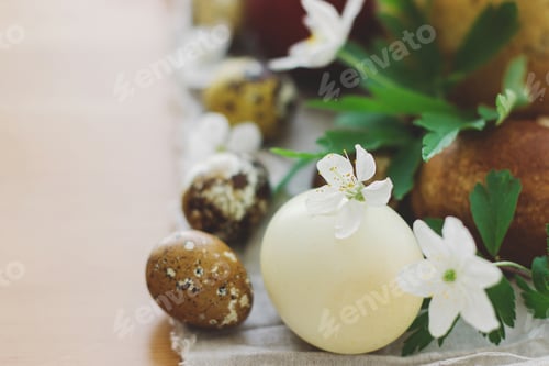 Preview: Stylish easter eggs and blooming spring flowers close up on rustic table. Happy Easter!