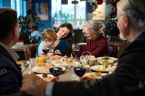 Preview: Aged woman enjoying communicating with little boy during New Year celebration