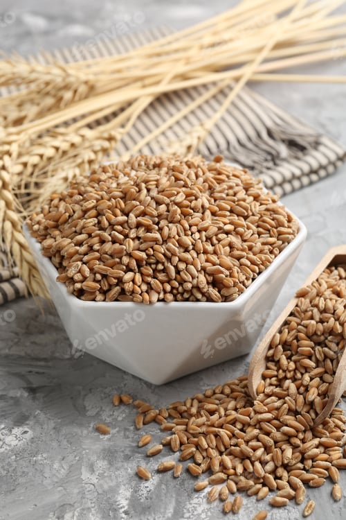 Preview: Wheat grains in bowl, scoop and spikelets on grey table, closeup