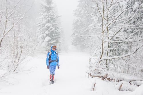 Preview: Tourist girl hiking in a winter forest