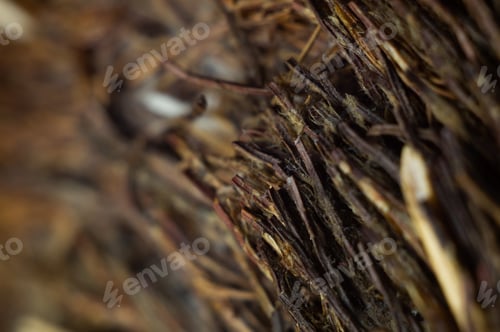 Preview: Closeup shot of straws and twigs
