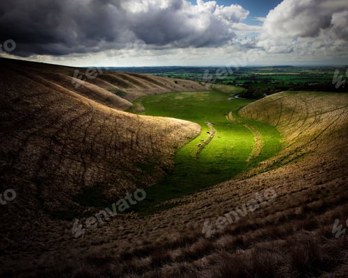 Preview: Cattle in The Manger, Whitehorse Hill, Oxfordshire