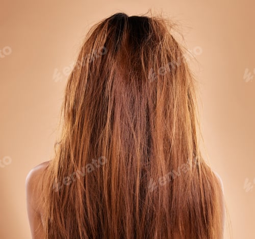Preview: Messy, damaged hair and back of a woman in a studio with a brittle frizzy hairstyle before a treatm