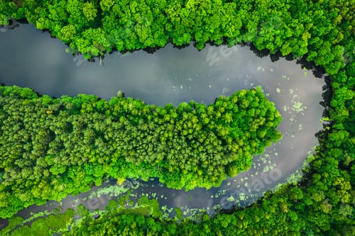 Preview: Flying above green forest and river in summer.