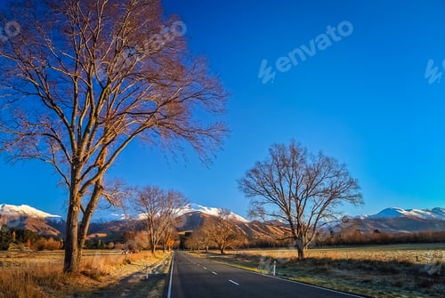 Preview: Mountain Scenery of New Zealand