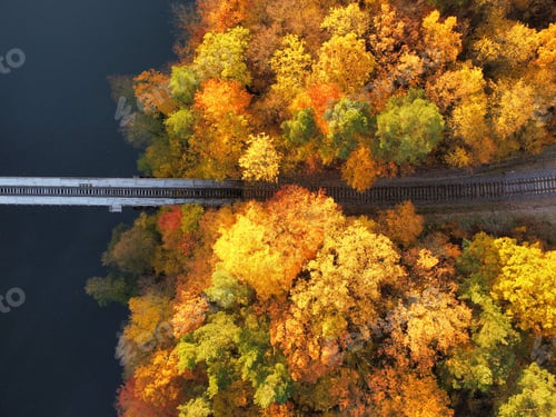 Preview: Railway in the Autumn forest