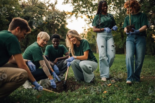 Preview: Group of volunteers planting trees in the park