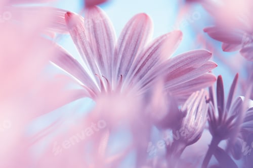 Preview: Dreamy floral background