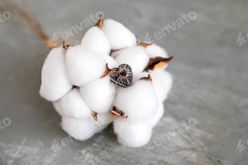 Preview: Silver ring on a white cotton flowers on a gray background with copy space. Handcraft precious item.