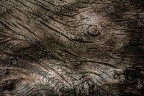 Preview: wood texture. background