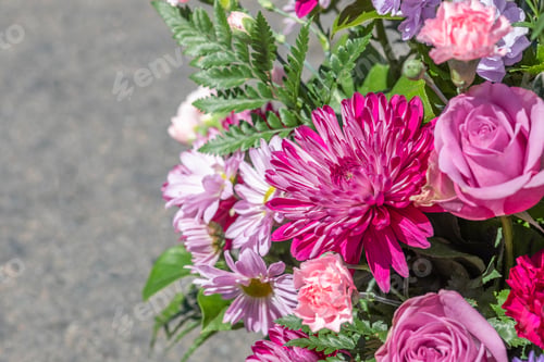 Preview: close-up photo of varios flowers