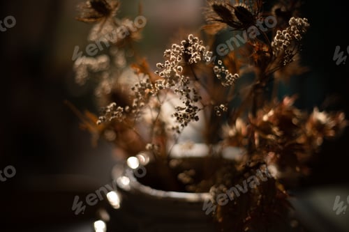 Preview: backlited flowers in vase on the table in sunset time