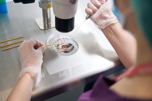 IVF Embryo Development Lab Technician Examination Process
