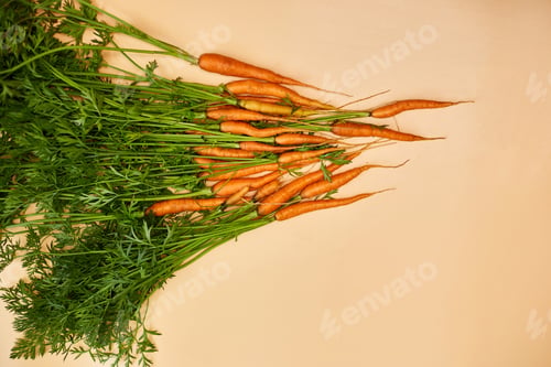 Preview: Flat lay bunch freshly picked carrots and carrot stalks