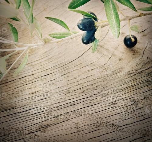 Olives and Branch Laying on Wooden Surface