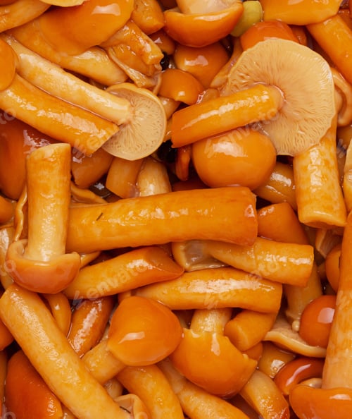 Preview: marinated mushrooms background