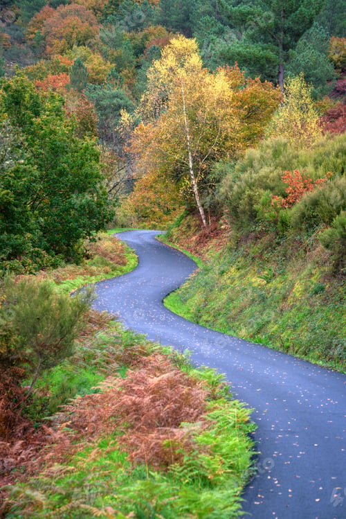 Preview: A narrow rural road leads into the autumn landscape