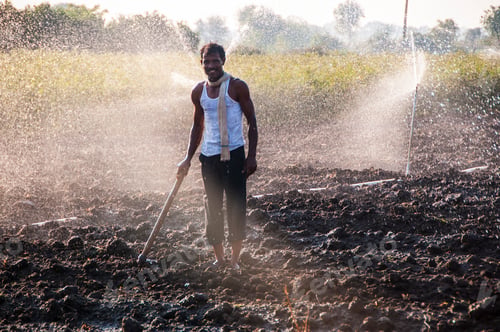 Preview: Young Indian Farmer working In the field in front of sprinklers at sunset