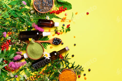 Preview: Natural herbal ingredients for alternative medicine on yellow background. Natural skin care beauty
