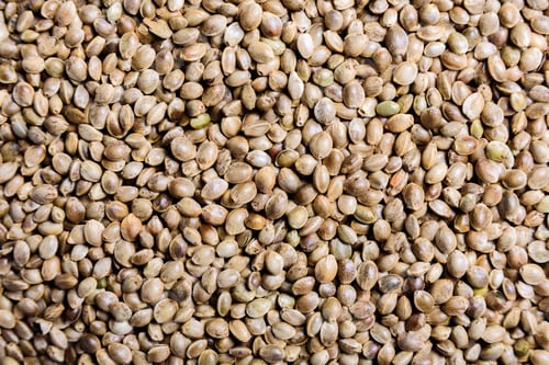 Preview: Hemp seeds