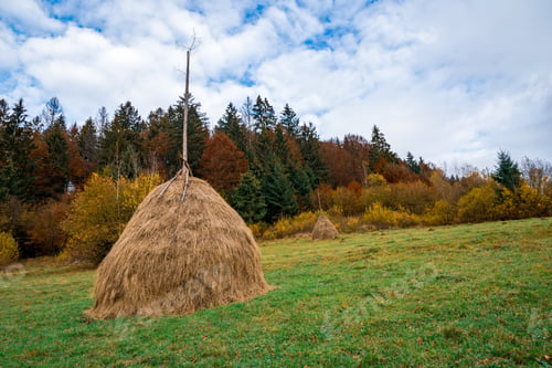 Preview: A large number of haystacks in a green meadow with cloudy weather
