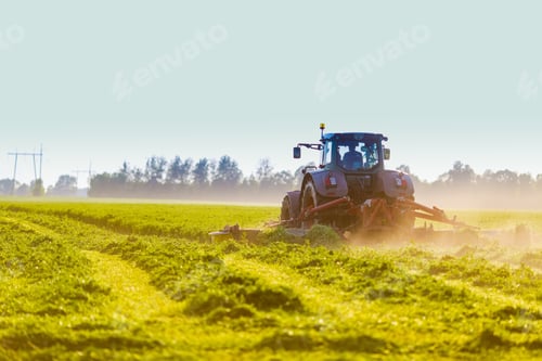 Preview: hay making for animals, harvesting green grass for feed with tractor, agribusiness concept