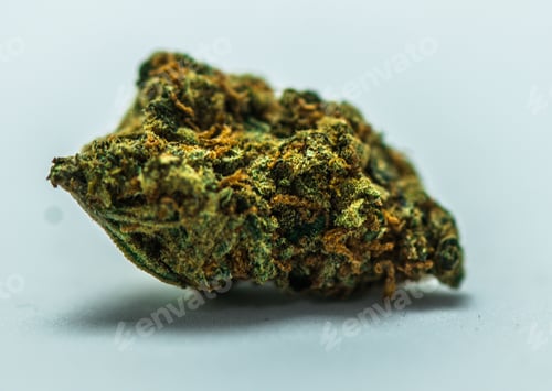 Preview: Close-up shot of a Cannabis Bud isolated on a white background