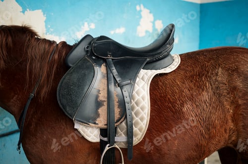 Preview: The saddle on the horse.