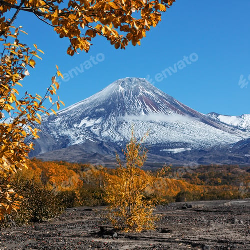 Preview: Colorful Autumnal Forest at Foot of Active Volcano on Kamchatka Peninsula