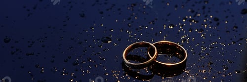 Preview: Banner two gold wedding rings lie on a dark wet surface