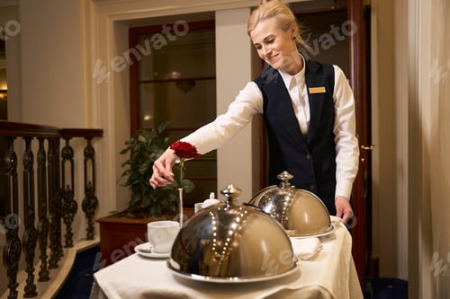 Preview: Caring waitress in uniform delivers food to a hotel room